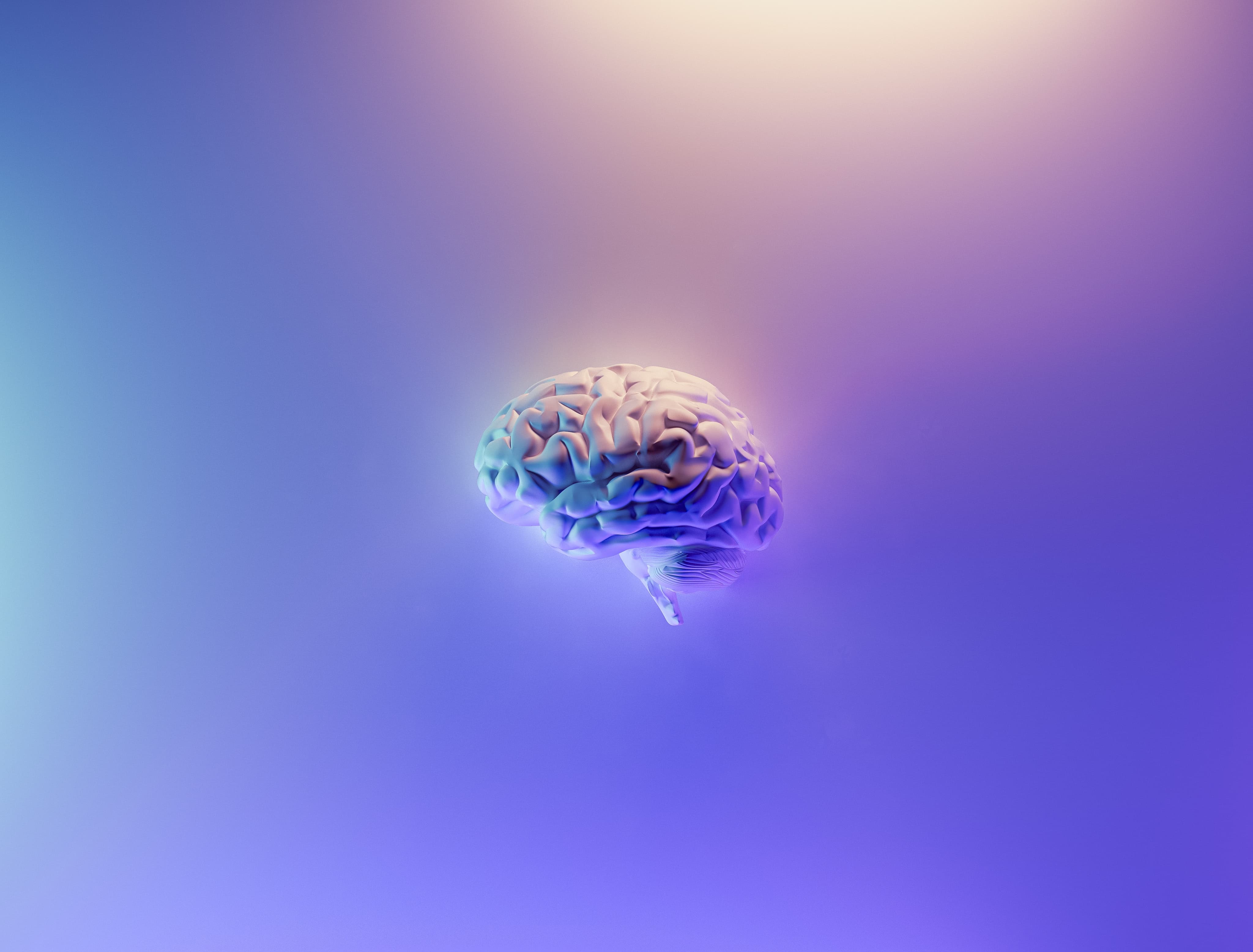 Cómo mejorar tu capacidad cerebral y tu memoria