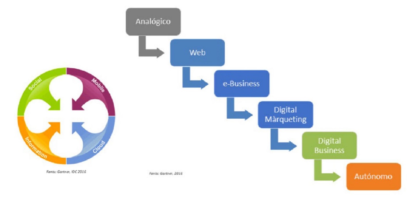 "Intuition is no use without specialization", Marc Sansó