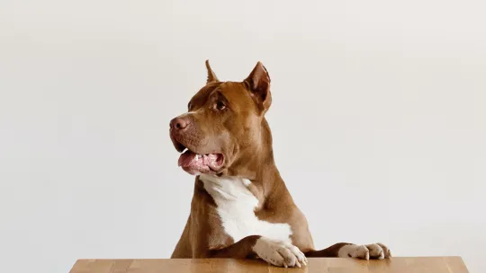 the future starts today