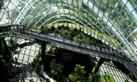 sostenibilidad - snack content