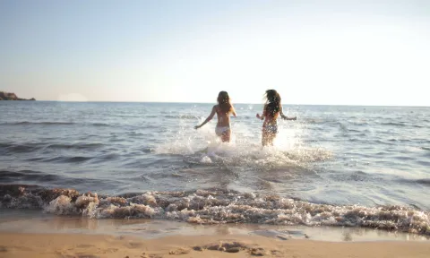 Weekly Report / July 30