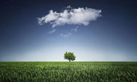 “The best time to plant a tree was 20 years ago” — Chinese proverb.